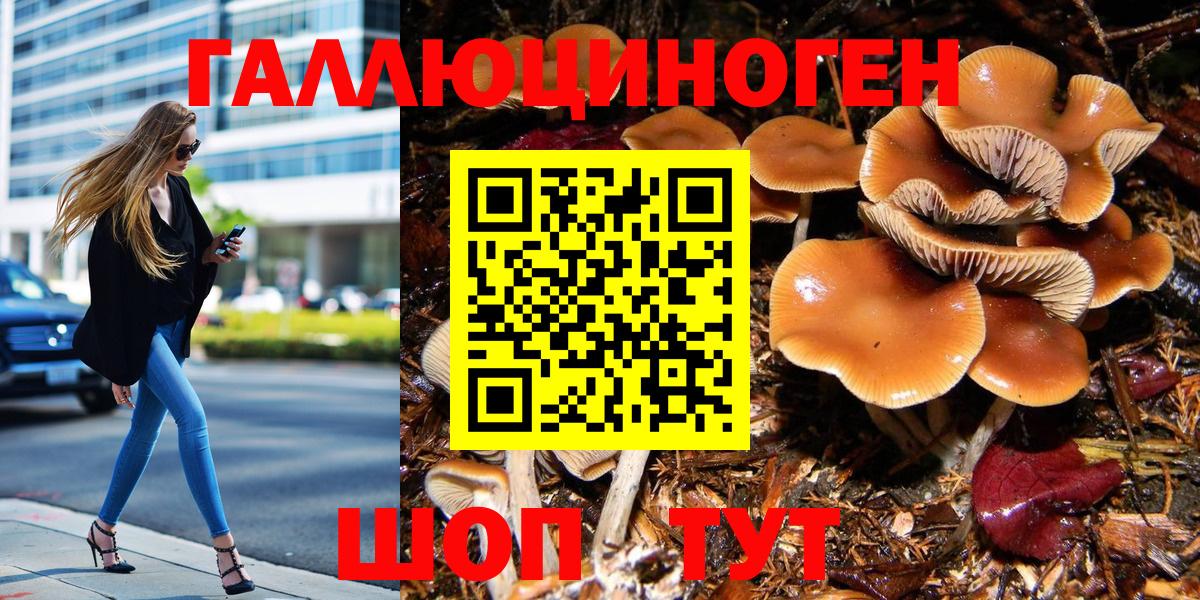 Псилоцибиновые грибы Psilocybine cubensis  Вход с VPN  Псилоцибиновые грибы мицелий  Бузулук 
