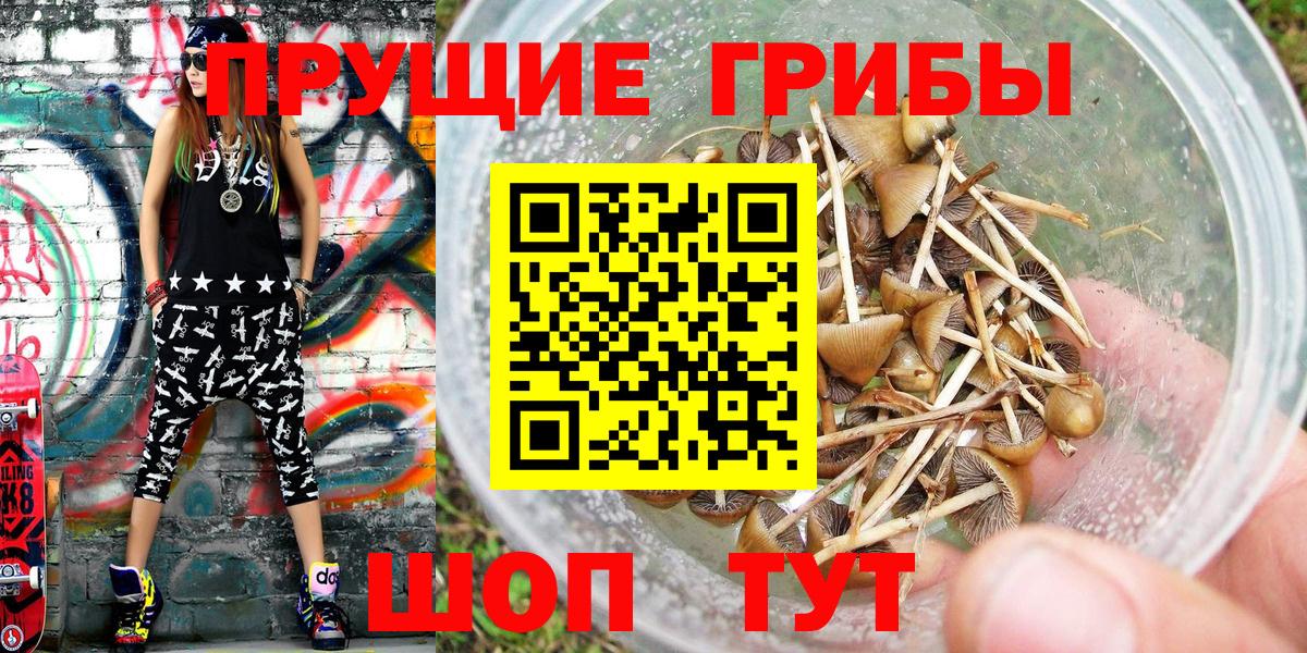 Галлюциногенные грибы Cubensis Бузулук
